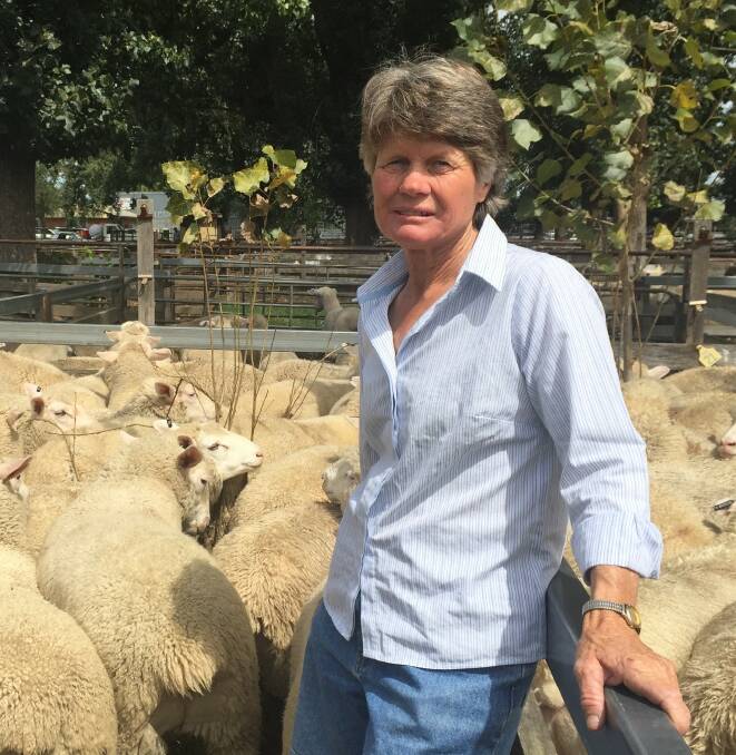 Debbie Kemphorst stops for a few minutes with her prize0winning sheep at Glen Innes saleyards on Tuesday during the hectic pace of the subsequent auction sale.