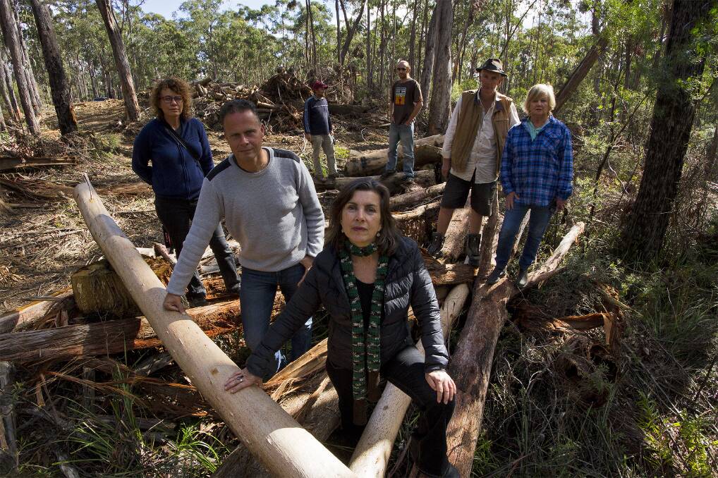 ADVOCATE: MP Dawn Walker visits a state forest with activists (from left) Abi Sparks, Merc Goldstein, Joe Sparks Michael Forrester, Arthur Bain and Carol Sparks. Picture: Tony Grant