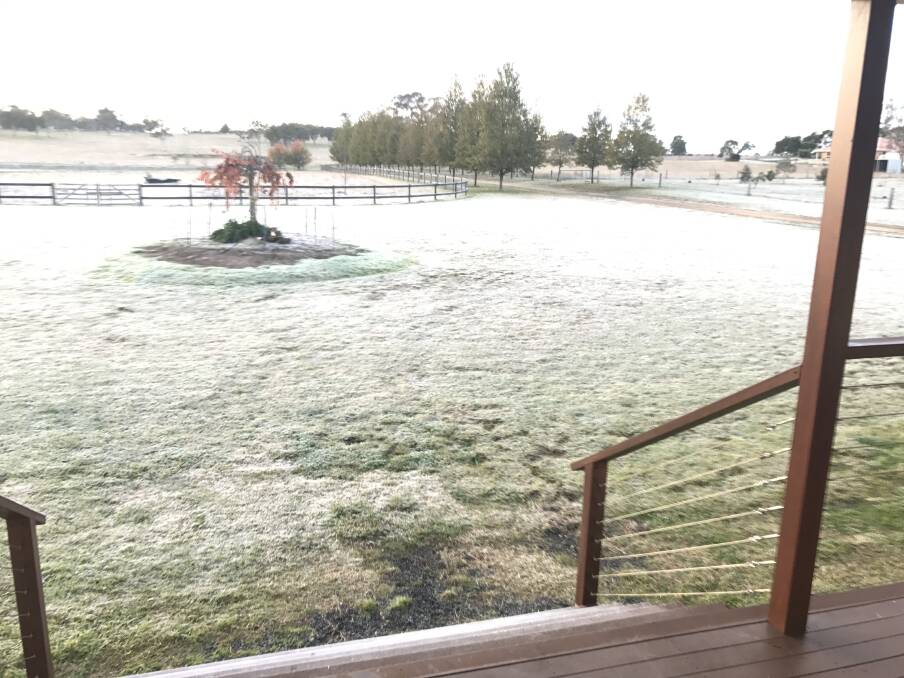 Front yard in Glen Innes filled with frost. Photo: Sandra Darnley.