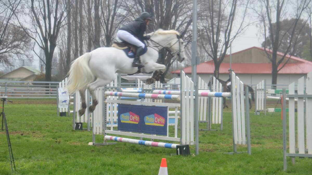 Showjumping is a winner