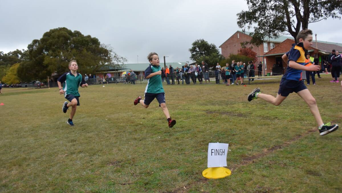 Sir Henry Parkes Memorial Public School's Tom Fowler strides across the finish line.