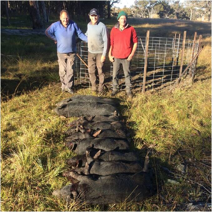 Pig trap designer Garry Parker, property owner Steve Johnston and fellow grazier Steve Hartmann with the proof of the pig trap.