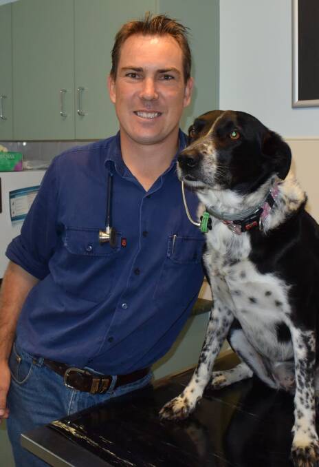 NEW HANDS: Dr Luke Annetts and mate Belle, a failed working dog but a great companion, have taken over the Tenterfield Veterinary Clinic.