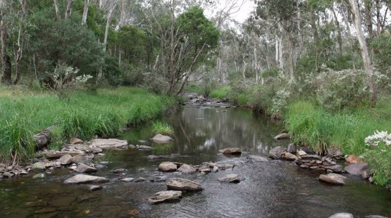 With more than two million hectares of State forests, there are plenty of unique places for visitors to explore. A popular local State Forest camping site is Wattle Flat.