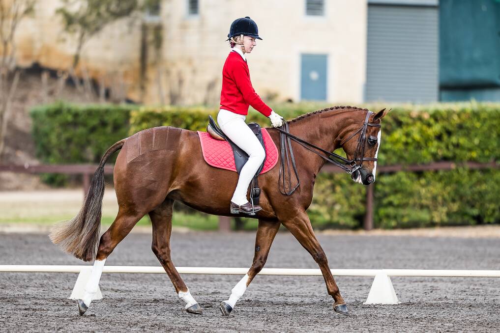 ENTER THE RING: Shae Partridge will compete in the show riding events at the Pony Club NSW Championships. She is experienced in the sport and is coming off a successful NSW Interschools competiton. Photo: Stephen Mowbray