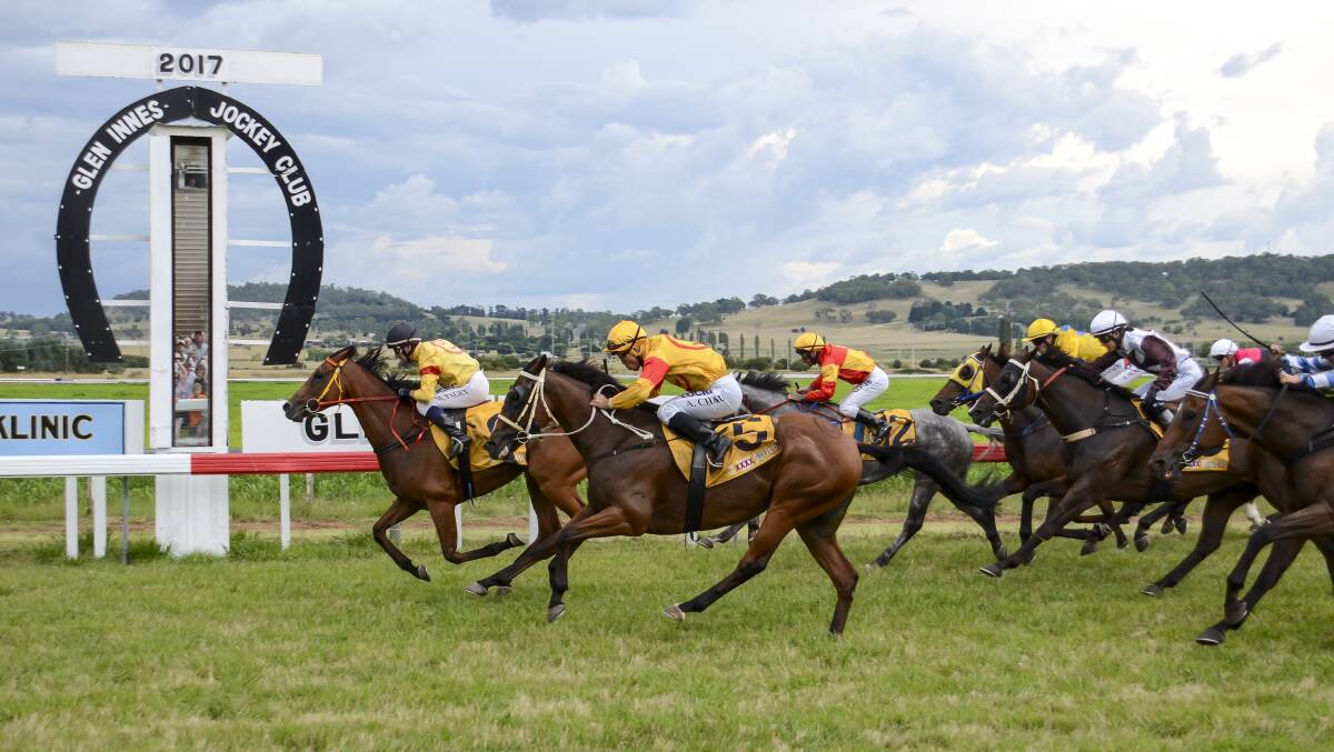 HOME STRETCH: Paddy Cunningham's Hula Girl won last year's Glen Innes Cup with his Carry Me Gee Gee and Our Minaan in second and third. Photo: Tony Grant. 