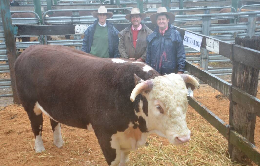 TOP PRICE: Grant Kneipp of Battalion Herefords, Dundee, sold the second top price bull, Battalion First Class, for $14,500, pictured here with Brian Kennedy and Geoff Hayes.