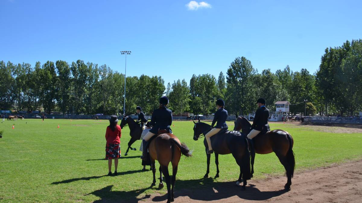 All the action from the 2015 Glen Innes Show