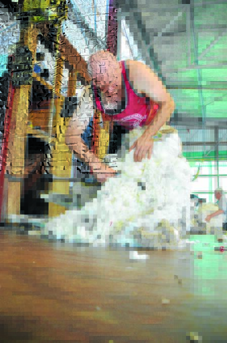 Shearing secrets: Bloodlines checked