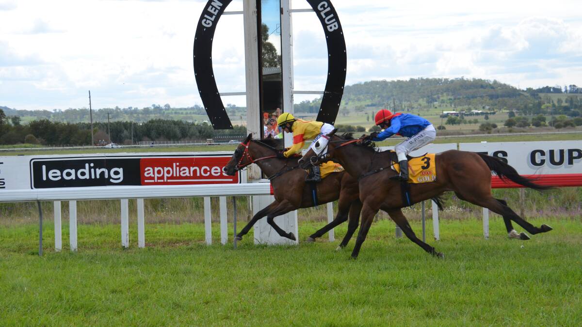 Jockey Jodi Worley and Miss Caitlyn continue hot form in to win Glen Innes Cup.