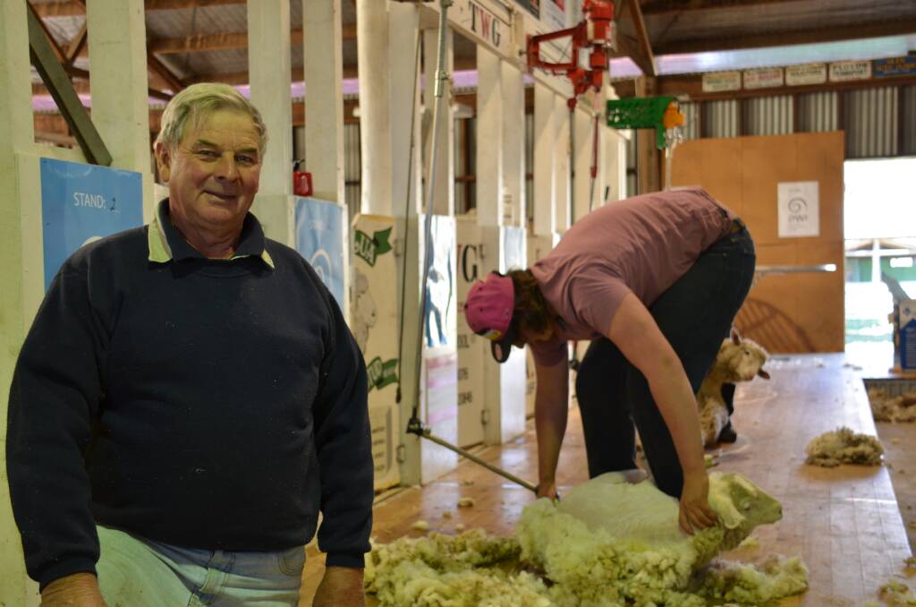 o Decades on and going strong: Shearing competition veteran Col Baker in his element at the Glen Innes Showground shearing competition pavillion.