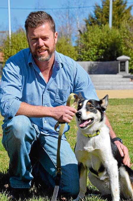 Man’s best friend takes on a whole new meaning: Rosie, in training for her role as a companion dog for returned soldiers, takes time out with trainer Murray Young in
Glen Innes’s Anzac Park.
