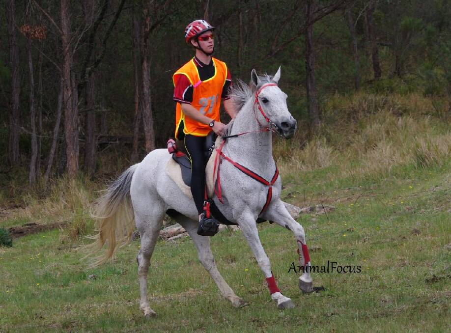 o Endurance: Andrew Mackinder from Kurrajong, NSW riding Sundown Park Cariad was 1st in the Youth division and fastest time in the 160 km event in a time of 10 hrs 22mins 47 secs. Photo by Jo Arblaster.
