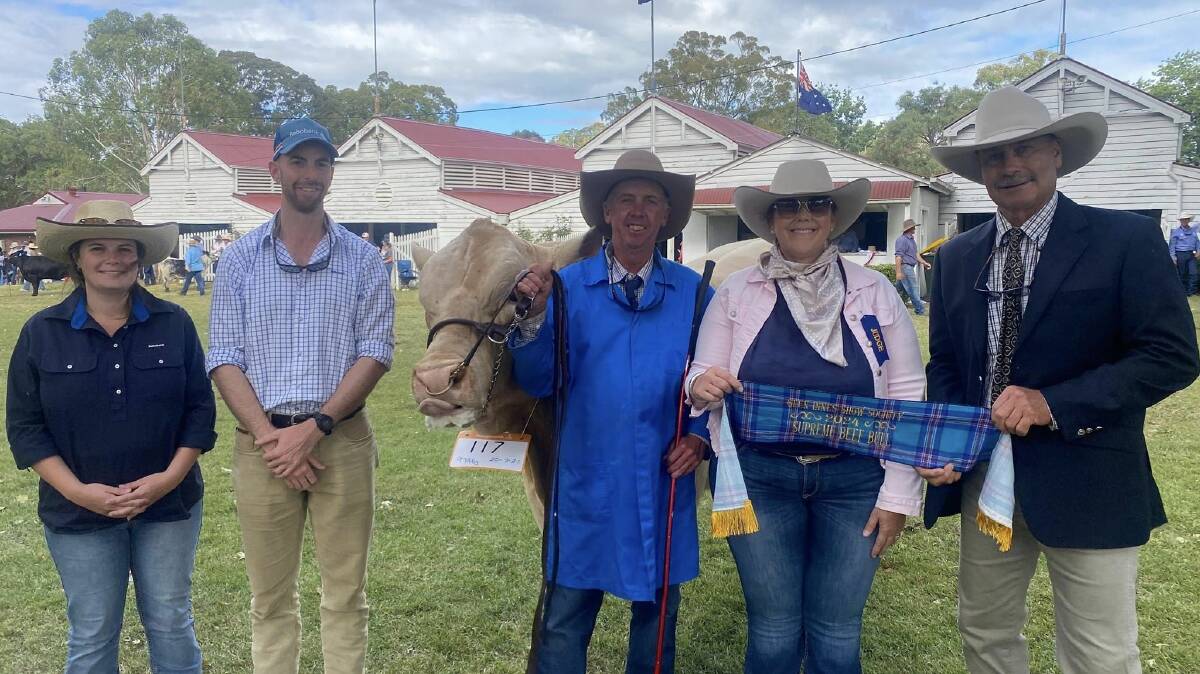 Glen Innes show Supreme beef Bull 2024- Shandon Stetson exhibited by the Beaumont family Shandon Charolais Stud. photo supplied