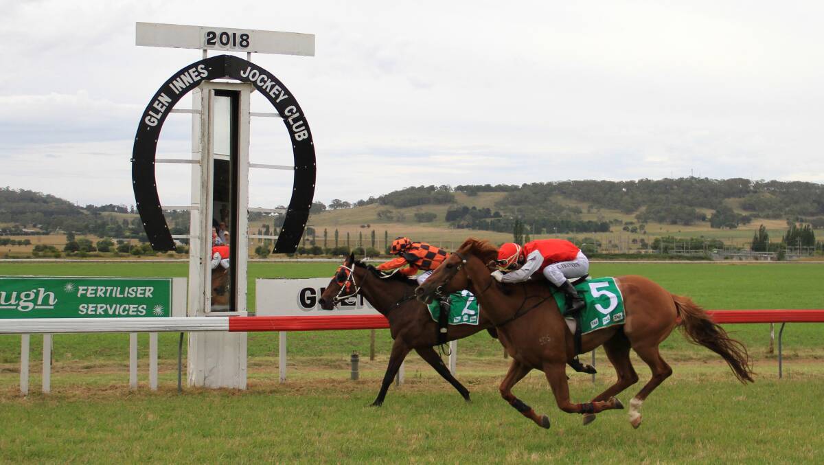 CUP CAPERS: Devlann edges out Mishani Stealth to take out the 2018 Glen Innes Cup. Local trainer Paddy Cunningham has nominated 12 horses from his stables.