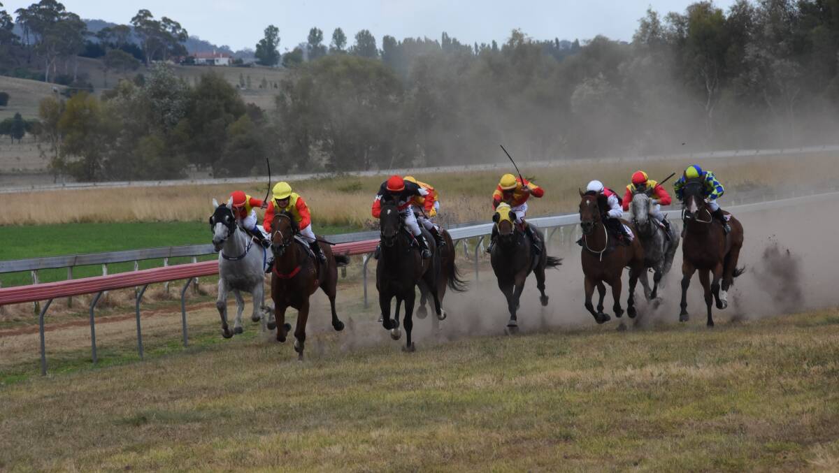 GALLOP ON: Despite the dry conditions the 2020 Glen Innes Cup is expected to attract thousands of race goers for a great day out.