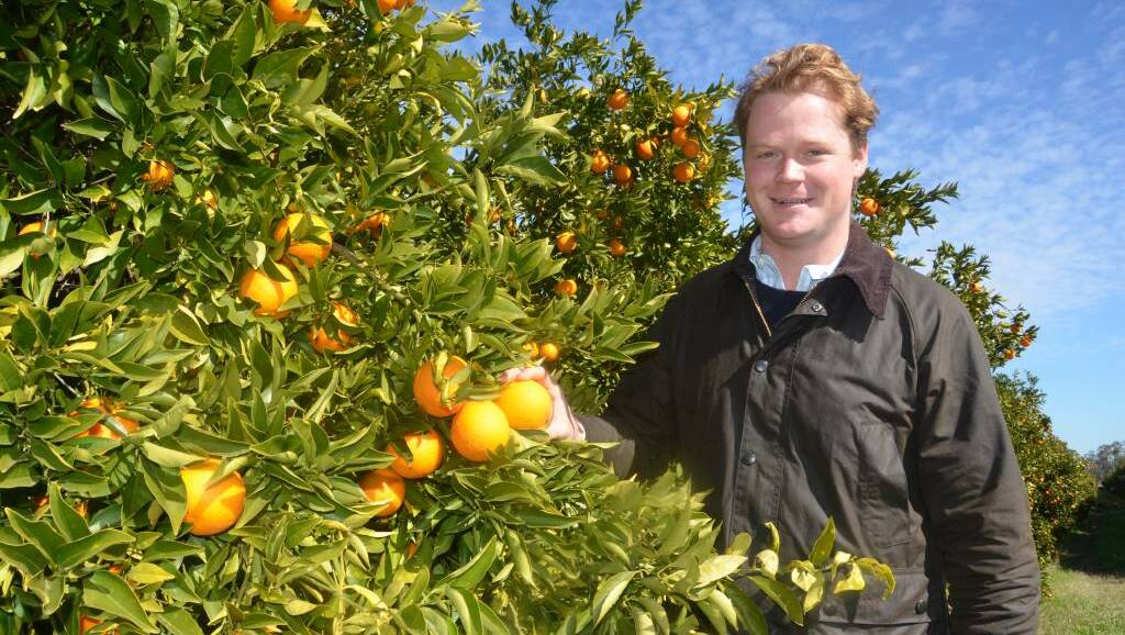 WORTH THE SQUEEZE: Gunnible Pastoral Company marketing director Edward Hoddle says there is unprecedented demand for oranges in China. Photo: Ella Smith