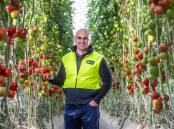 Victorian fruit and vegetable grower Sam Kisvarda, Flavorite, says the more selling channels the better.