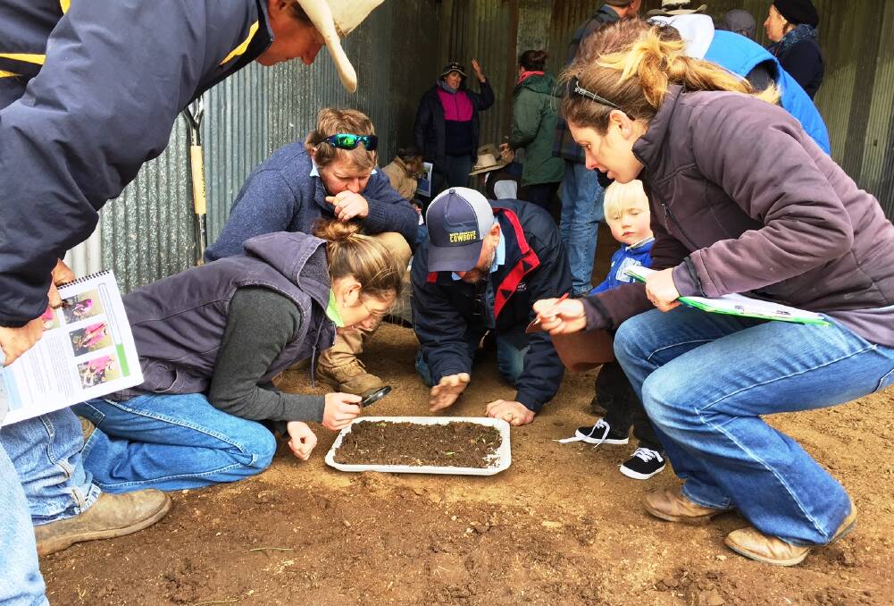 DIRTY WORK: Enthusiastic participants in a previous Kings Plains soil search workshop get down to dirt level with presenters.