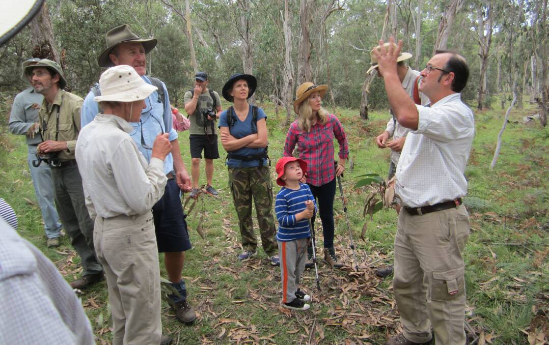 Participants on the walk happily interacted with Botanist, Dave Carr, to identify plants on the property.  