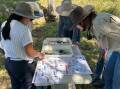 Producers looking at water samples during a coaching session in Glen Innes. Photo supplied