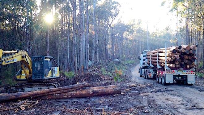 A Forestry Corporation NSW logging operation in Tantawangalo State Forest. Picture: David Gallan