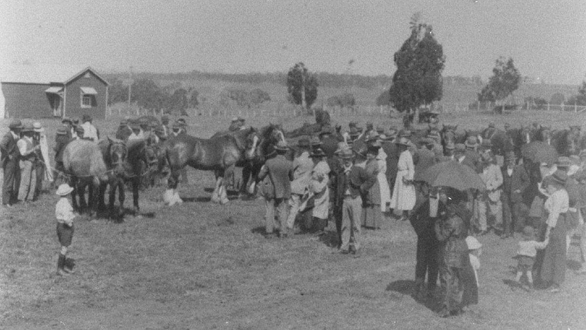 Field Day inspecting horses in 1913.