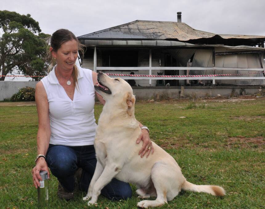 On their feet: Former Red Range resident Judy Scrivener and her rescue dog Buddy are beginning to rebuild their lives with help from locals.