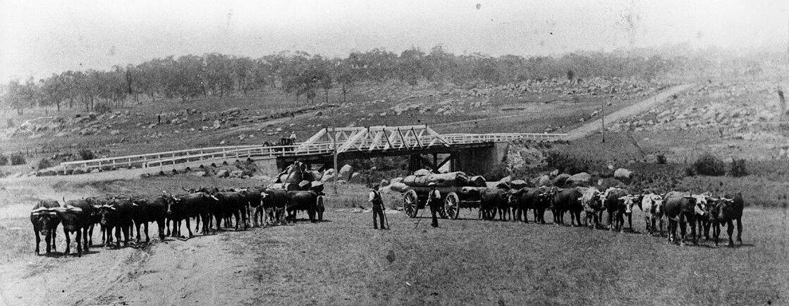 En route: Bullock teams beside the Grafton Road in later years when there were bridges to assist in making the journey less arduous.