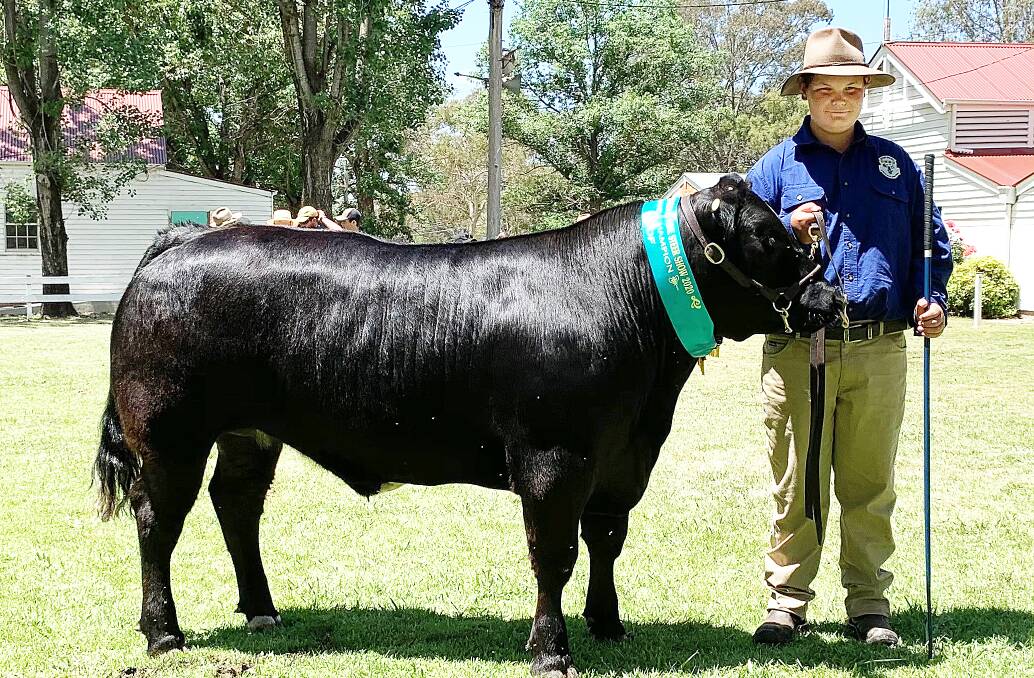 Glen Innes High School agricultural student Mitchell Davidson leads the grand champion led steer and eventual carcase winner at the northern schools competition held recently in Glen Innes.