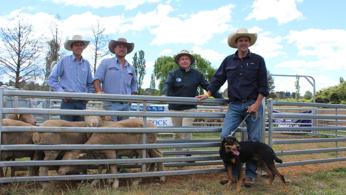 Tally Ho Ben made $22,000 for owner Michael Clark, Armidale, with buyer Mark Flagg, Barellan and RMA sale organisers Steve Daley and Shad Bailey of Colin Say & Co.