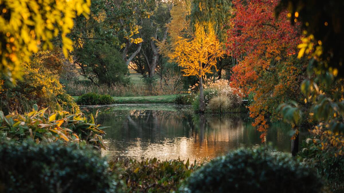 Easter Sunday should see Glenwood Gardens in all its autumn glory.