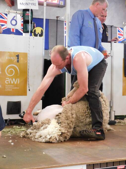 TRIUMPHANT: Daniel McIntyre won his fourth Australian shearing title, and the chance to represent the country at the World Championships, at nationals last month.