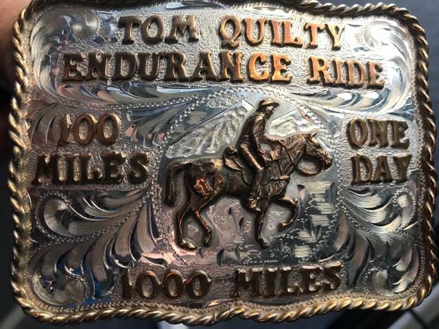 Local vet Luke Annetts claims 10th Tom Quilty Gold Cup buckle