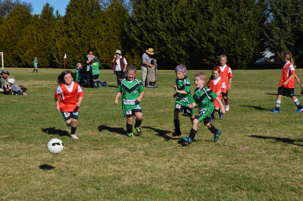  The under 7s versus the Dragonflies - GIDFA’s first all-girl representative team. 