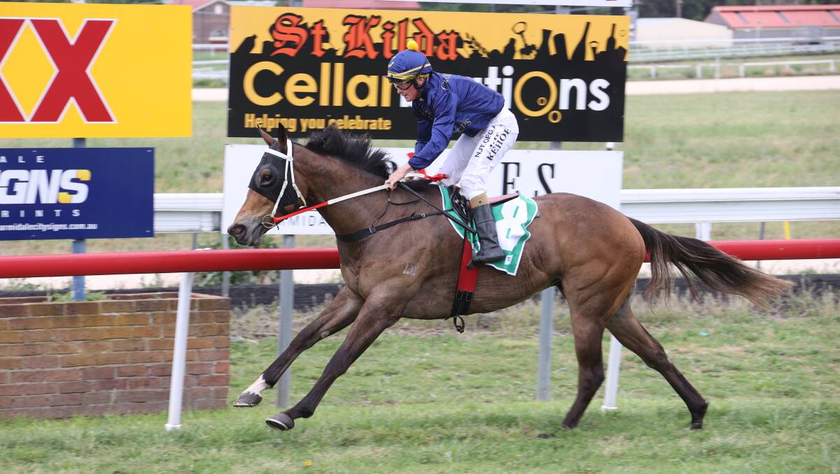 GOOD TO BE BACK: Shiver Me Timbers rocketed home for Paddy Cunningham's stable in Armidale on Saturday. Photo: Bradley's Photographers. 