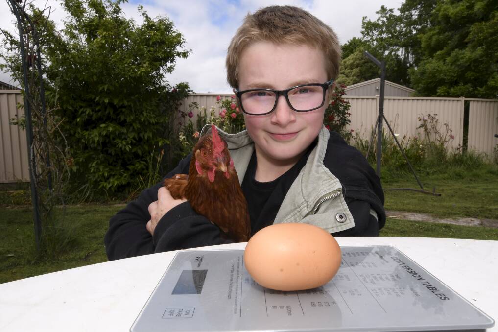CHICKEN SURPRISE: Will found one of his hens has laid an egg weighing in at 121 grams, beating Ballarat's biggest chicken egg on known record. Picture: Lachlan Bence