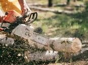 One of a series of emergency readiness workshops hosted by GLENCRAC will include a workshop on chainsaw operation. File photo.