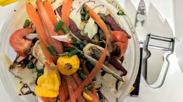 Glen Innes residents will be able to recycle food scraps into compost when a FOGO recycling system is rolled out. 