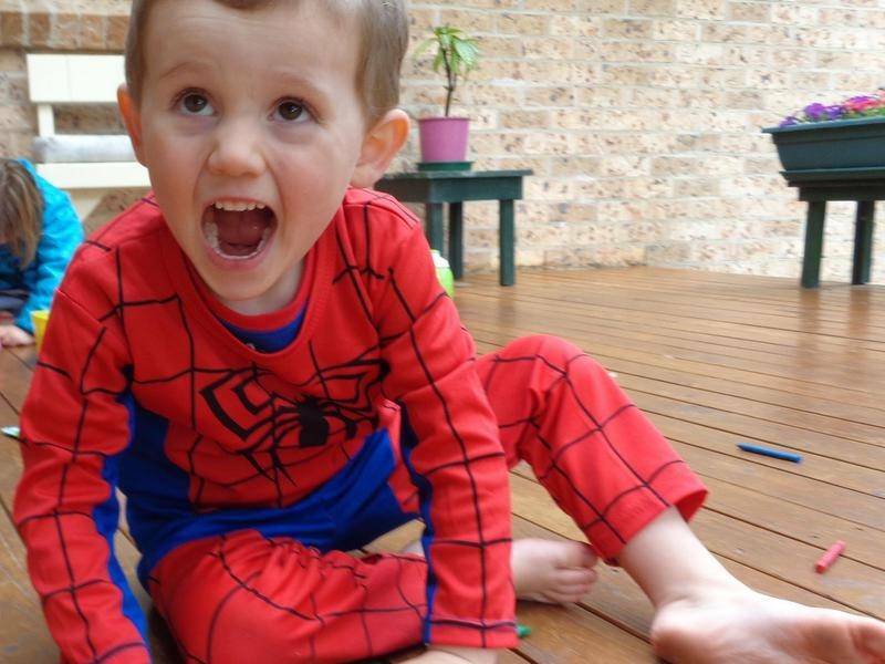 The three-year-old was last seen wearing a Spider-Man suit in the garden of his foster grandmother's home in Kendall in 2014. 