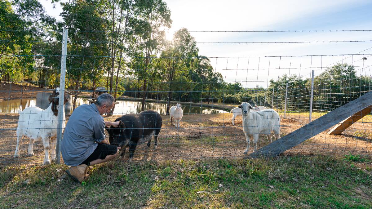 Jeff Ross feeds the rescue animals at Block Eight, which he runs with Todd Alexander.