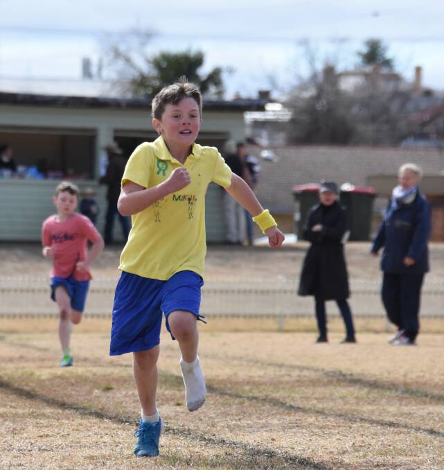 St Joseph's School Glen Innes last week held their athletics carnival.
Hundreds of students competed in track and field events like running, shot put and discus. Photos: Andrew Messenger