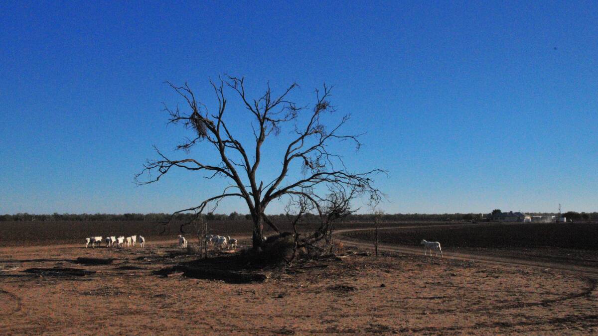 GLENRAC drought funding runs out