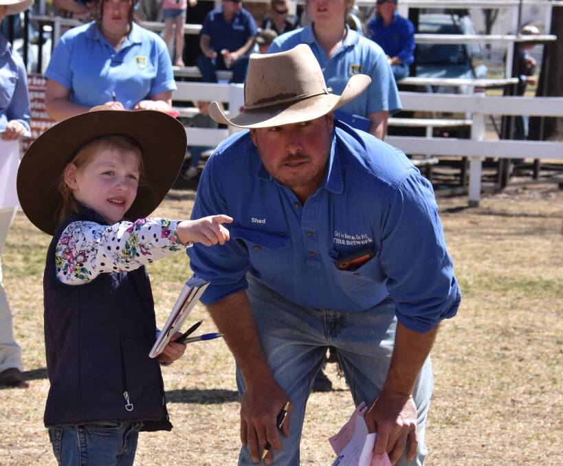 Shad Bailey helps a younger competitor in the cattle extravaganza. Pictures: Andrew Messenger. 
