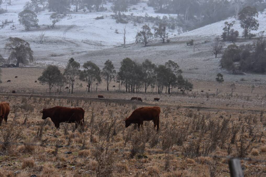 Glen Innes recorded its hottest year ever, and also its coldest days in decades. 