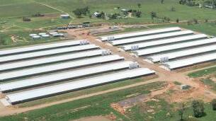 EXPANDING: ProTens poultry broiler farm at Bective, outside of Tamworth. Photo: Supplied 