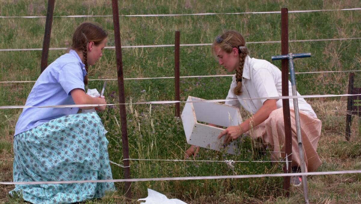 Tiarra Meier and Anne Zimmerman impressed judges with their thorough investigation on the soil biology of several paddocks in the Danthonia Bruderhof community.