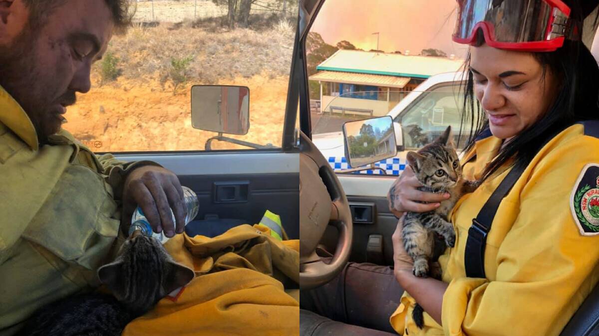 LUCKY IN LOVE: NSW RFS Remote Area Firefighting Team captain Aaron Bligh with his partner and volunteer Amanda Bishop at the Ebor fires with the cat they rescued, Smokey.