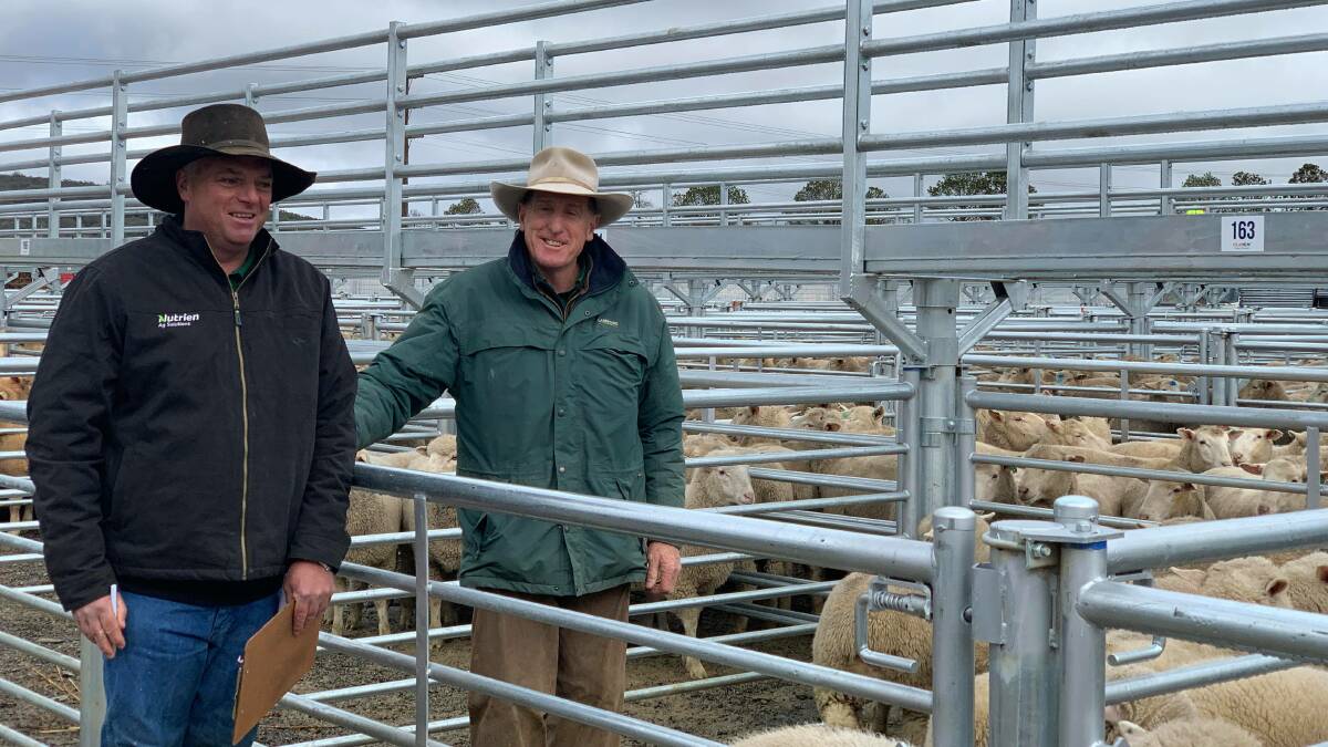Images from the first Sheep sale held in the new Saleyards.