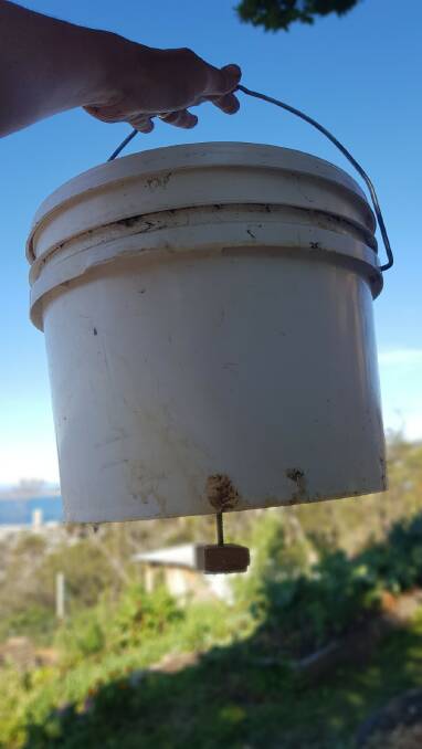 Only three bits of materials to make the chook feeder of your dreams.